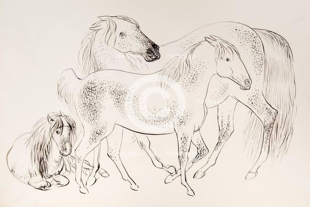 A group of three horses, 1825-1839. Creator: James Howe.
