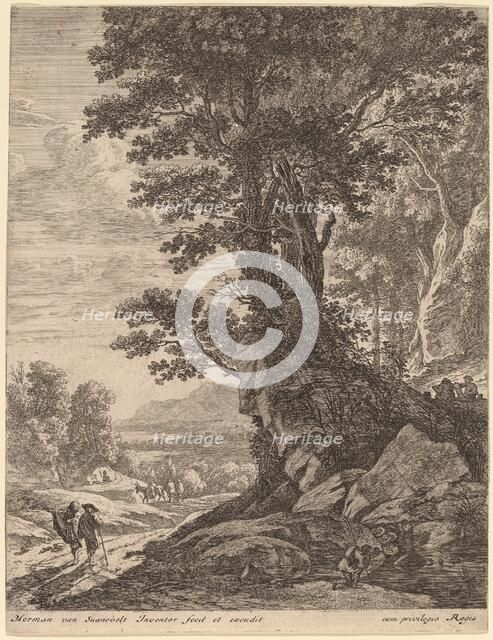 A Group of Trees. Creator: Herman van Swanevelt.