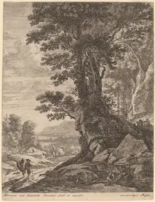 A Group of Trees. Creator: Herman van Swanevelt