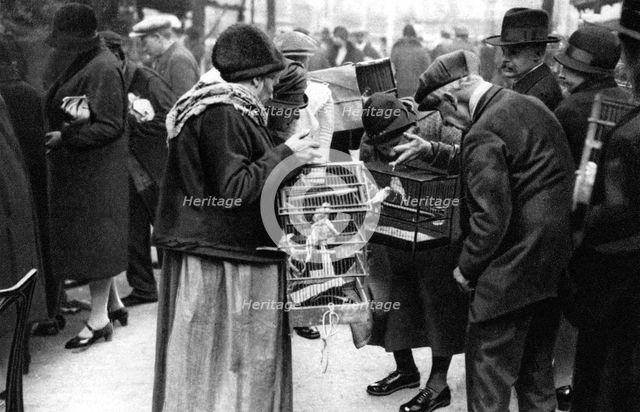A group of buyers of canaries, Paris, 1931.Artist: Ernest Flammarion