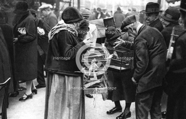 A group of buyers of canaries, Paris, 1931.Artist: Ernest Flammarion