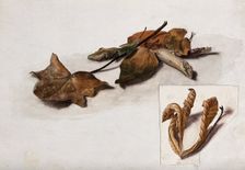 A group of dead leaves, c19th century. Creator: Unknown