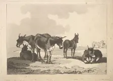A Group of Five Donkeys, Three Standing, Two Lying, 1783-87. Creator: Thomas Rowlandson