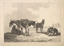 A Group of Five Donkeys, Three Standing, Two Lying, 1783-87. Creator: Thomas Rowlandson