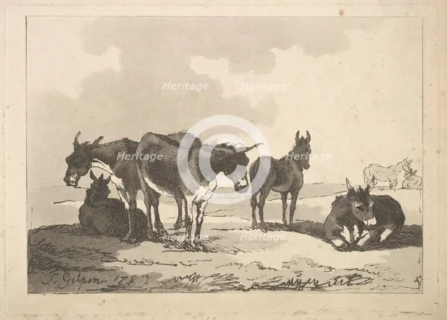 A Group of Five Donkeys, Three Standing, Two Lying, 1783-87. Creator: Thomas Rowlandson.