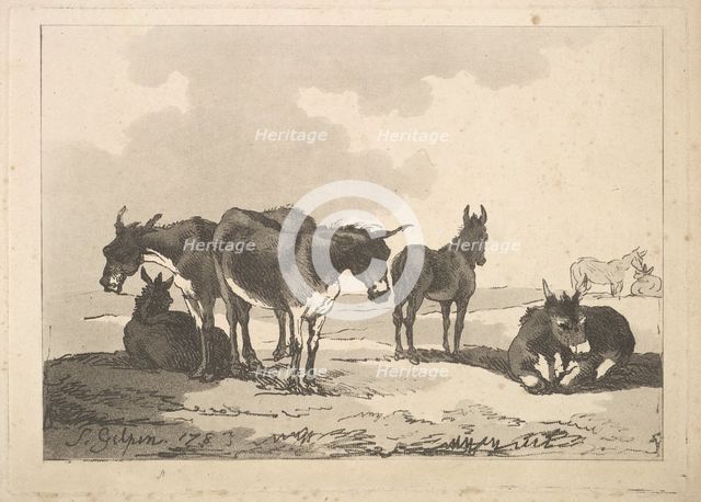 A Group of Five Donkeys, Three Standing, Two Lying, 1783-87. Creator: Thomas Rowlandson.