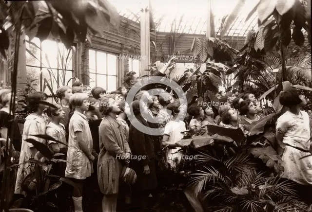 A group of girls are shown the features of a conservatory, York,  Yorkshire,  1929. Artist: Unknown