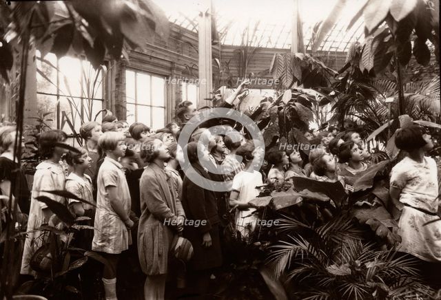A group of girls are shown the features of a conservatory, York,  Yorkshire,  1929. Artist: Unknown