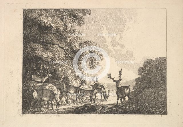 A Group of Stags Drinking, 1784-88. Creator: Thomas Rowlandson.