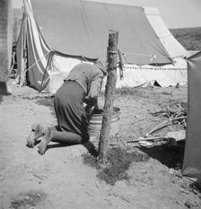 A grandmother washing clothes in California, in a contractor's camp near Westley, California, 1939. Creator: Dorothea Lange