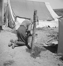 A grandmother washing clothes in California, in a contractor's camp near Westley, California, 1939. Creator: Dorothea Lange