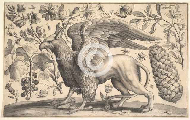 A Griffin, 1625-77. Creator: Wenceslaus Hollar.
