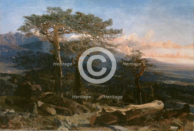 A Guadarrama Landscape, 1858. Creator: Martín Rico y Ortega.
