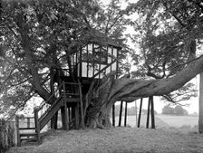 A half-timbered tree house, Pitchford Hall, Shropshire, 1959. Artist: GB Mason