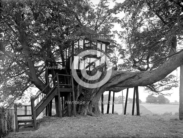 A half-timbered tree house, Pitchford Hall, Shropshire, 1959. Artist: GB Mason