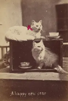 A happy new year, about 1865. Creator: Henry Pointer