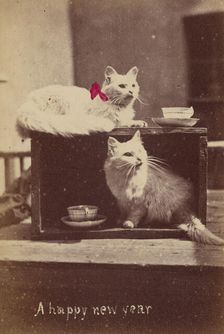 A happy new year, about 1865. Creator: Henry Pointer