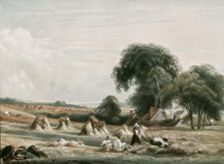 A Harvest Scene (c1900). Creator: Unknown