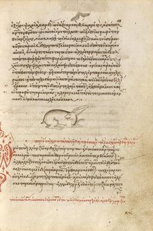 A Hare, 1510-1520. Creator: Unknown