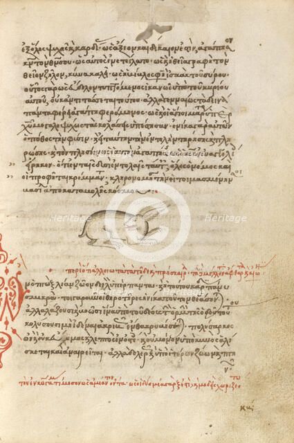 A Hare, 1510-1520. Creator: Unknown.