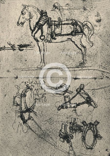 'A Harnessed Cart-Horse and Studies of Harness', c1480 (1945). Artist: Leonardo da Vinci.