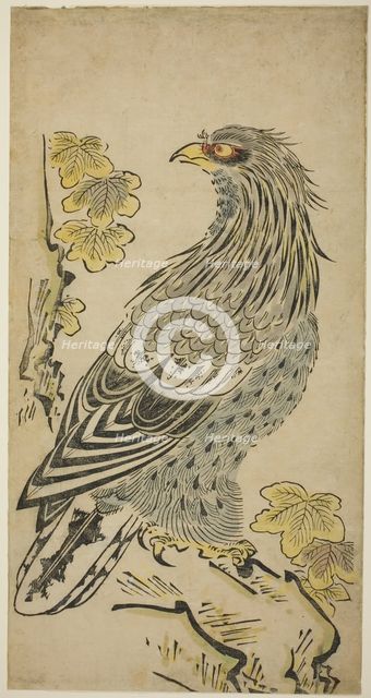 A Hawk on a Cliff near a Kiri Tree, c. 1716. Creator: Torii Kiyomasu I.