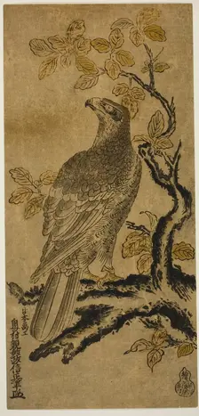 A Hawk on a Kiri Tree, c. 1720/25. Creator: Okumura Masanobu