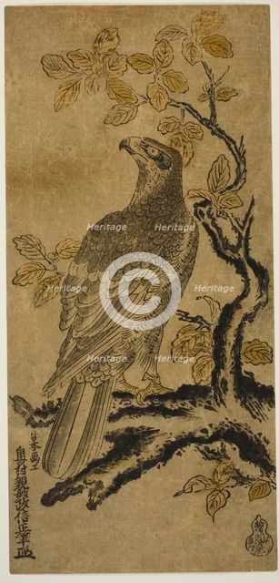 A Hawk on a Kiri Tree, c. 1720/25. Creator: Okumura Masanobu.