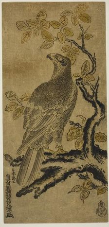 A Hawk on a Kiri Tree, c. 1720/25. Creator: Okumura Masanobu
