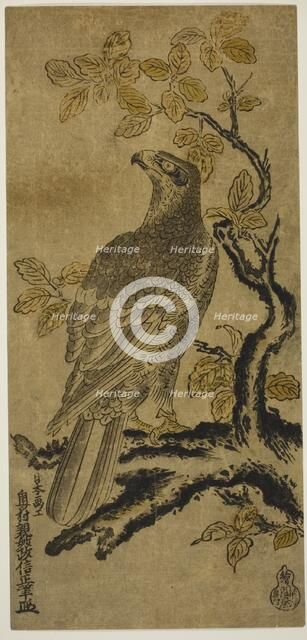 A Hawk on a Kiri Tree, c. 1720/25. Creator: Okumura Masanobu.