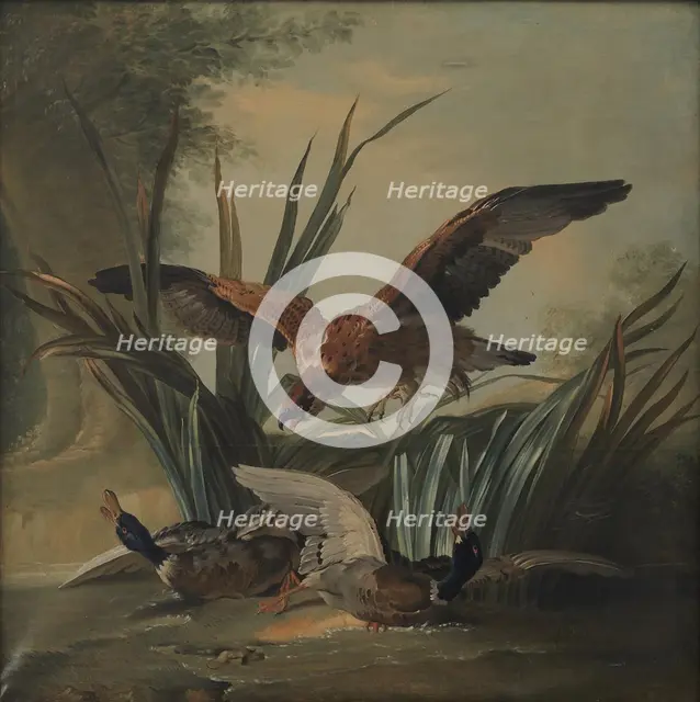 A Hawk Pouncing on a Pair of Ducks, 1701-1755. Creator: Unknown.