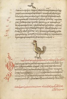 A Hen, 1510-1520. Creator: Unknown
