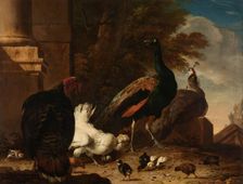 A Hen with Peacocks and a Turkey, c.1680. Creator: Melchior d'Hondecoeter