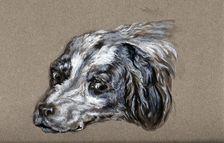 A head of a dog. Creator: Unknown