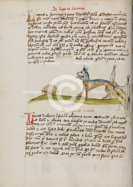 A Hedgehog and a Wolf; Fables, third quarter of 15th century. Creator: Unknown.