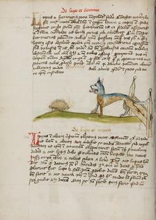 A Hedgehog and a Wolf; Fables, third quarter of 15th century. Creator: Unknown