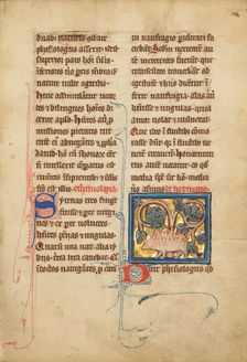 A Hedgehog; De Natura Avium; De Pastoribus et Ovibus; Bestiarium, 1277 or after. Creator: Unknown
