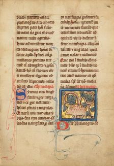 A Hedgehog; De Natura Avium; De Pastoribus et Ovibus; Bestiarium, 1277 or after. Creator: Unknown