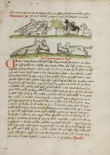 A Herd of Wolves Attacking a Flock of Rams; Fables, third quarter of 15th century. Creator: Unknown