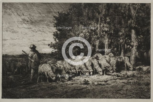 A Herd at the Edge of a Forest, 1880. Creator: Charles-Émile Jacque (French, 1813-1894).