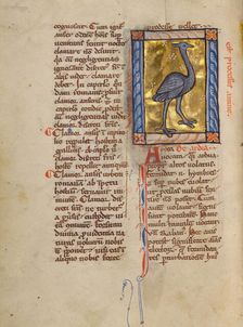 A Heron; Bestiary, about 1270. Creator: Unknown