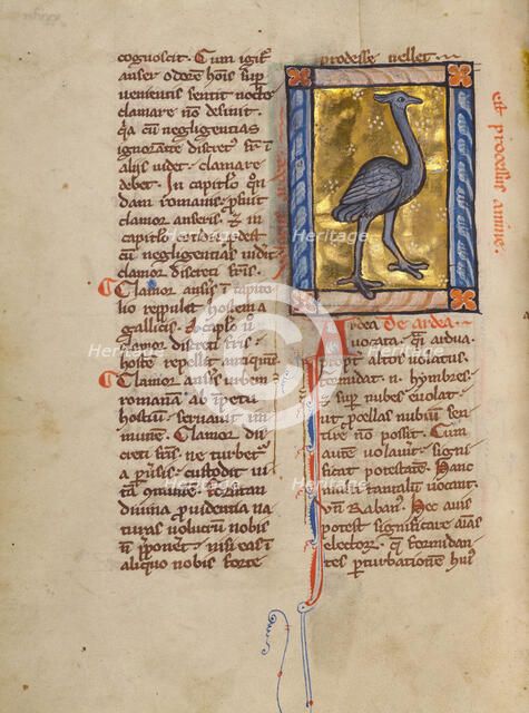 A Heron; Bestiary, about 1270. Creator: Unknown.