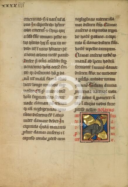 A Heron; De Natura Avium; De Pastoribus et Ovibus, 1277 or after. Creator: Unknown.
