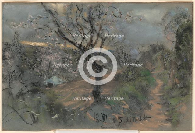 A Hillside Path with Blooming Cherry Trees under an Overcast Sky, 1905. Creator: Francesco Paolo Michetti.