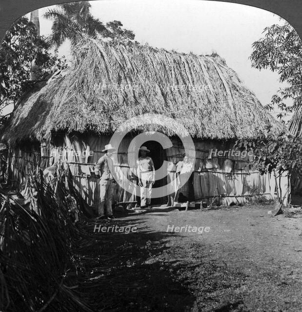 A home in the interior of the island of Cuba.Artist: HC White
