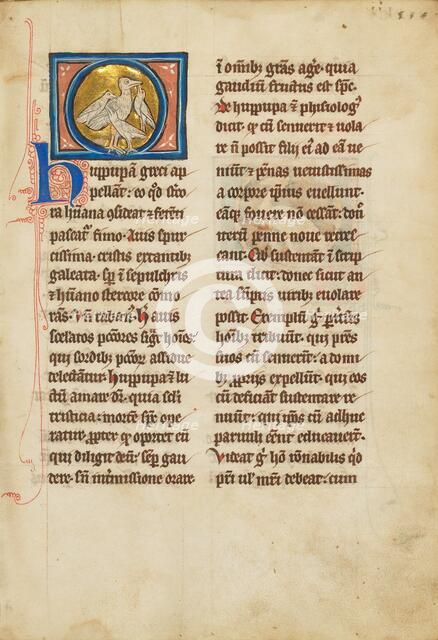 A Hoopoe; De Natura Avium; De Pastoribus et Ovibus; Bestiarium, 1277 or after. Creator: Unknown.