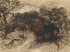 A hollow Lane near Harborne, Derbyshire, 19th century. Artist: David Cox the elder