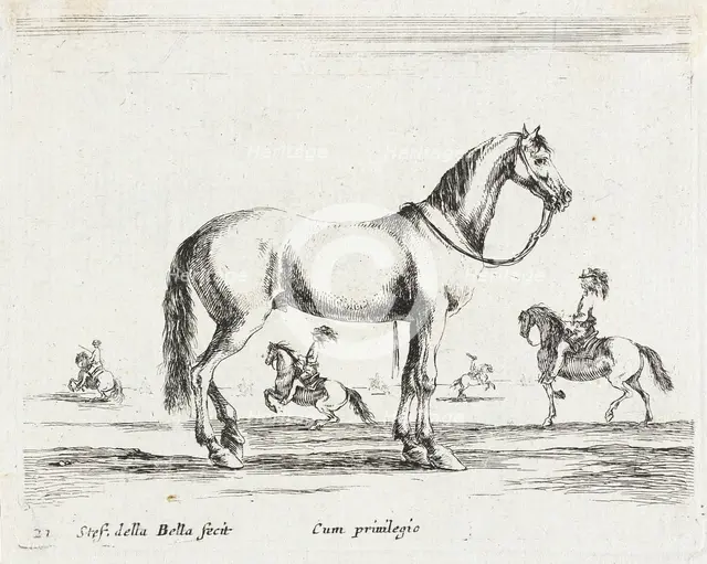 A Horse, 1641. Creator: Stefano della Bella.