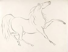 A Horse, 1825-1839. Creator: James Howe