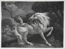 A Horse Attacked by a Lion, 1788. Creator: George Stubbs (British, 1724-1806)